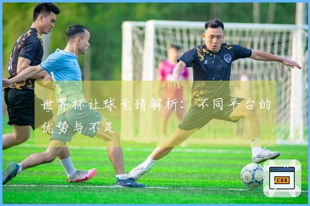 世界杯让球竞猜解析：不同平台的优势与不足
