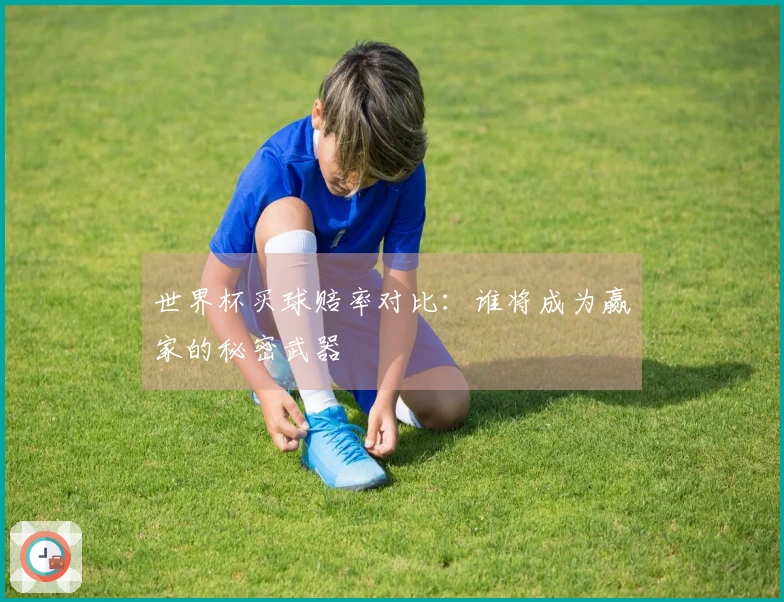 世界杯买球赔率对比：谁将成为赢家的秘密武器