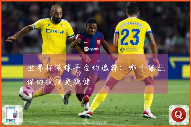 世界杯滚球平台的选择：哪个能让你的投注更稳健