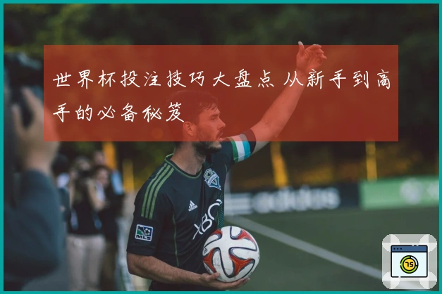 世界杯投注技巧大盘点 从新手到高手的必备秘笈