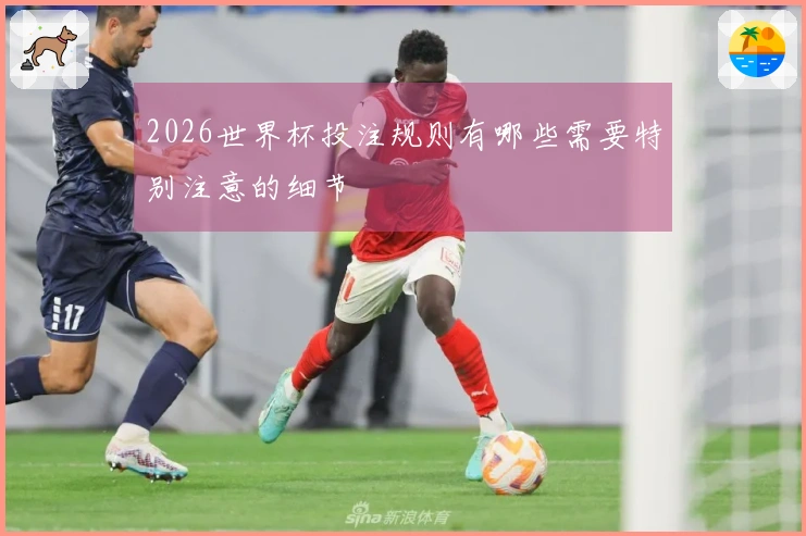 2026世界杯投注规则有哪些需要特别注意的细节