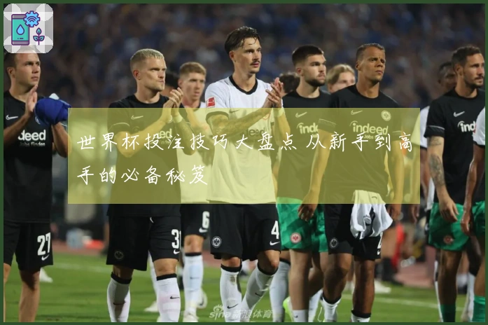 世界杯投注技巧大盘点 从新手到高手的必备秘笈
