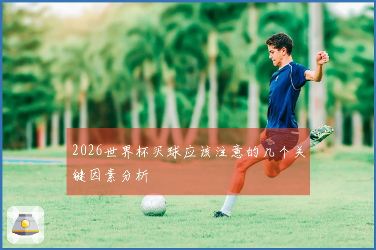 2026世界杯买球应该注意的几个关键因素分析