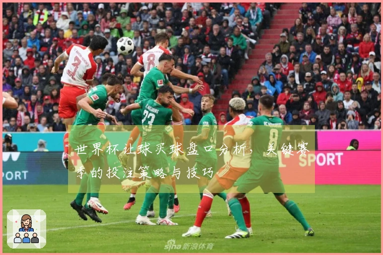 世界杯让球买球盘口分析，关键赛季的投注策略与技巧