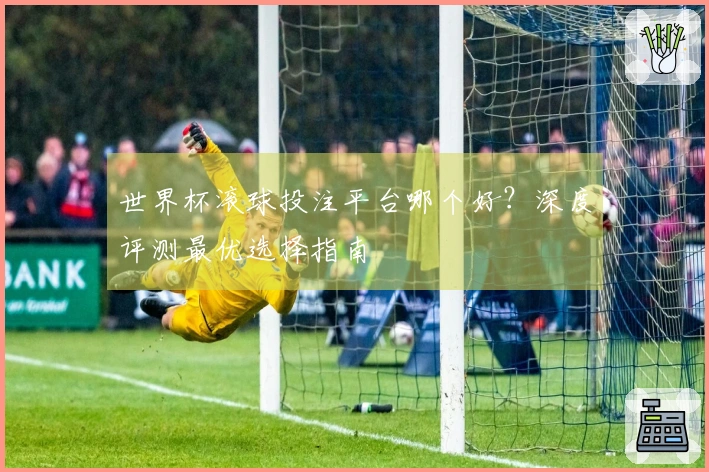 世界杯滚球投注平台哪个好？深度评测最优选择指南