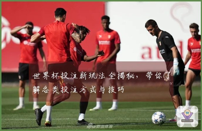 世界杯投注新玩法全揭秘，带你了解各类投注方式与技巧