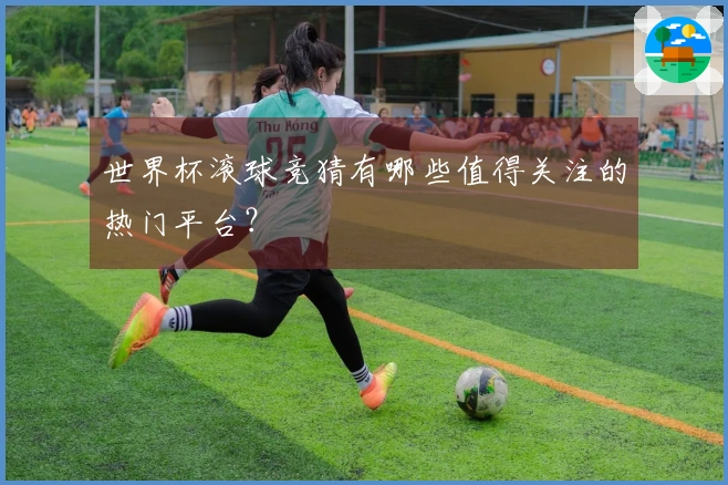 世界杯滚球竞猜有哪些值得关注的热门平台？