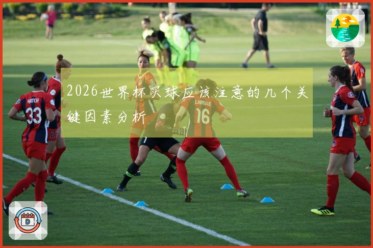 2026世界杯买球应该注意的几个关键因素分析