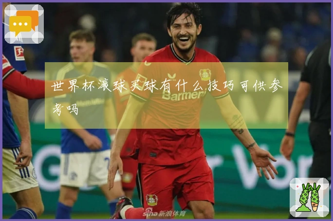 世界杯滚球买球有什么技巧可供参考吗